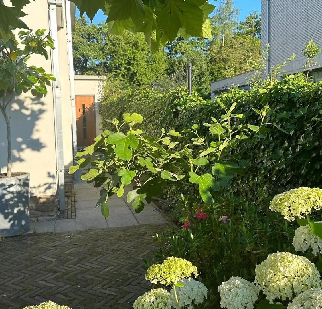 Luxe B&B 